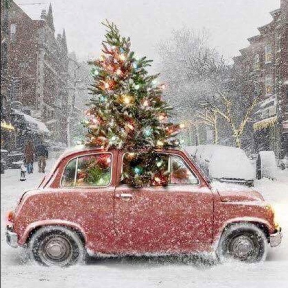 Meet your Posher, Marybeth